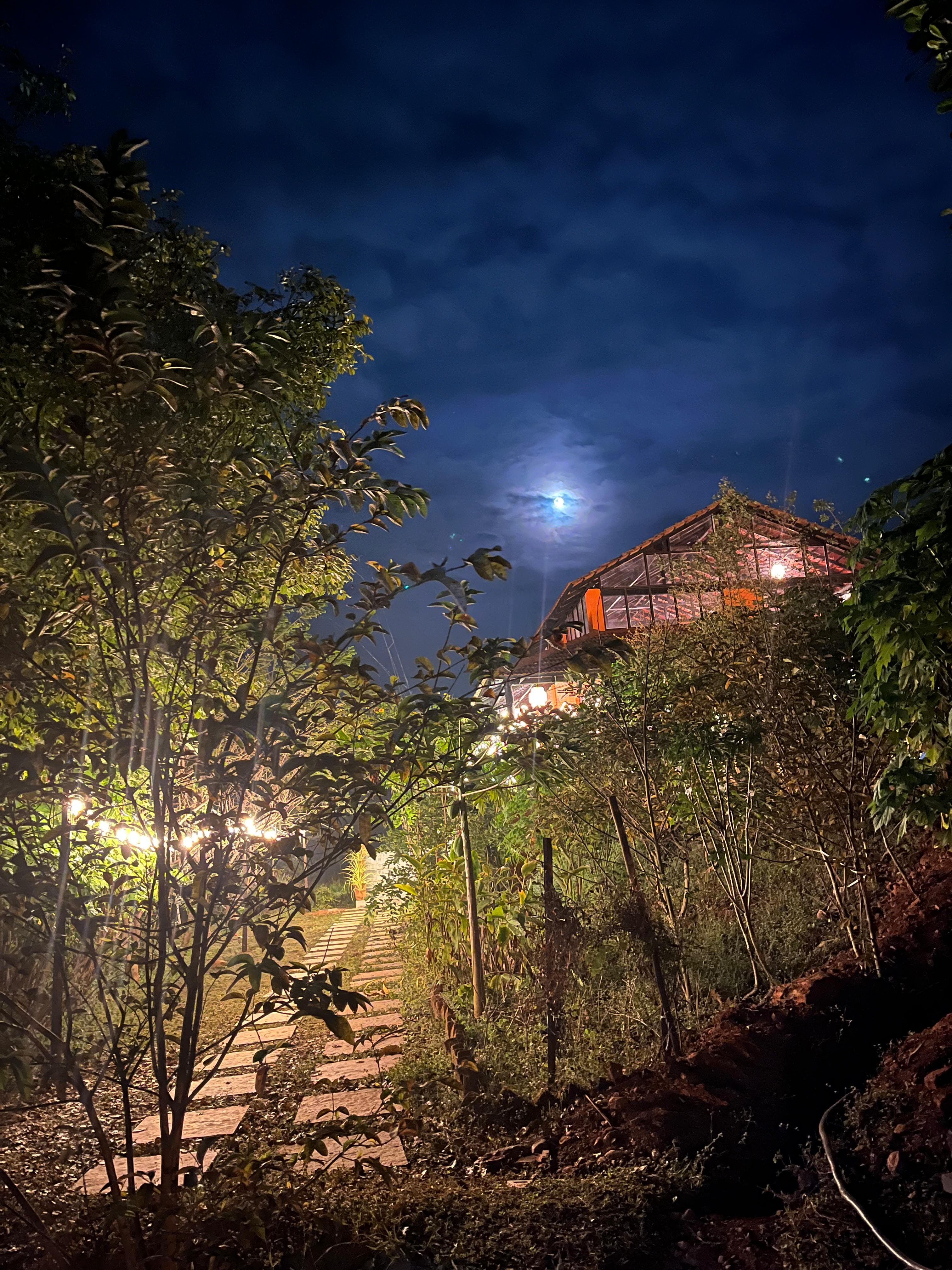 Nighttime camping experience
